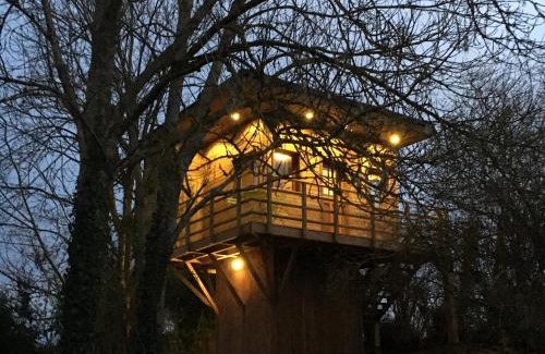 Vert House | Cabane perchee