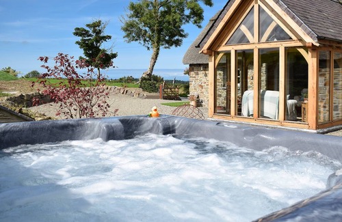 Llanfihangel-Ystrad Cottage | Cabin ∙ 2 bedrooms ∙ 4 guests