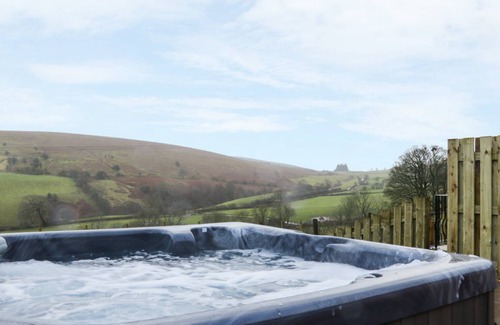 Newcastle-on-Clun Cottage | Cabin ∙ 2 bedrooms ∙ 4 guests