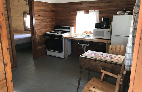 Moran Cabin | Cabin #2 Near Beautiful Brevort Lake