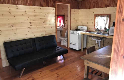 Moran Cabin | Cabin #3 Near Beautiful Brevort Lake