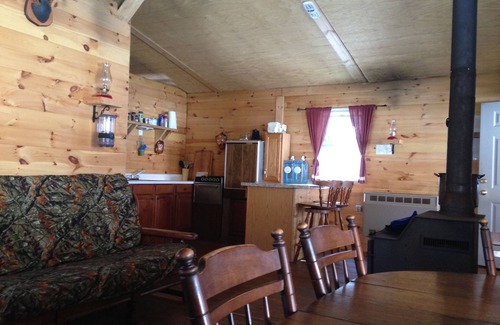 Swain Cabin | Cabin Creek Getaway by Letchworth State Park - Waterfalls & Woods!