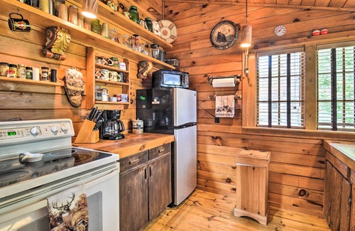 Atlanta Cabin | Cabin on Rush Lake w/Bar, Grill & Kayaks!