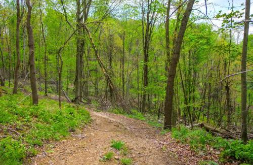 Blissfield Apartment | Cabin with Trail Access to Mohican River