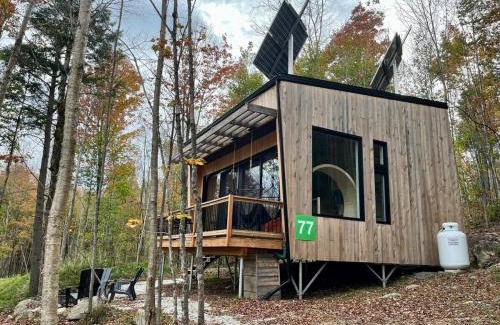 Eastman House | Cabin Zoobox 77