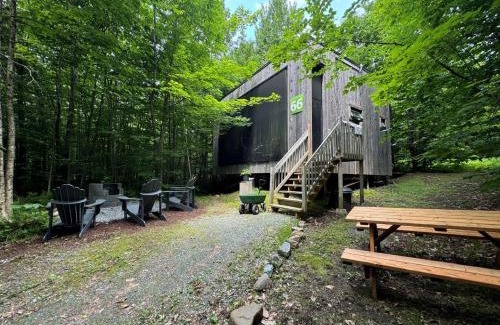 Eastman House | Cabin Zoobox des cervidés
