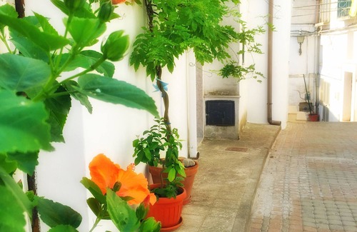Macchia House | Calanco Blanco Holiday Home