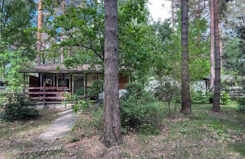 Bad Schmiedeberg House | Camp Koose