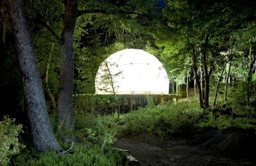 Pinto Other | Camping ∙ 1 bedroom ∙ 4 guests