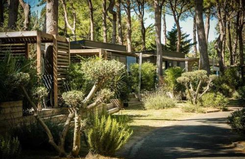 Canet-en-Roussillon Other | Camping 4 étoiles - Piscine - ccaaeag