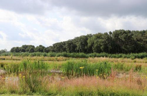 Municipality of Rucphen Other | Camping De Heerlijkheid Vorenseinde