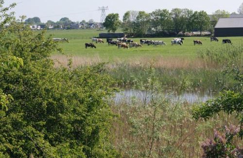 Zwartsluis Other | Camping de Noorde