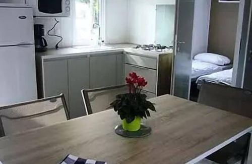 Priziac House | Camping Ecologique le Lac O Fées * - MORGANE ou ANA ou CASSANDRE Mobil-home Confort 31m² - 2 chambres sur parcelle >100m2 4 personnes