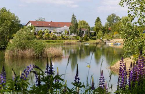 Grodziszcze Other | Camping Forteca, parcele kempingowe nad wodą, z własnym namiotem lub przyczepą