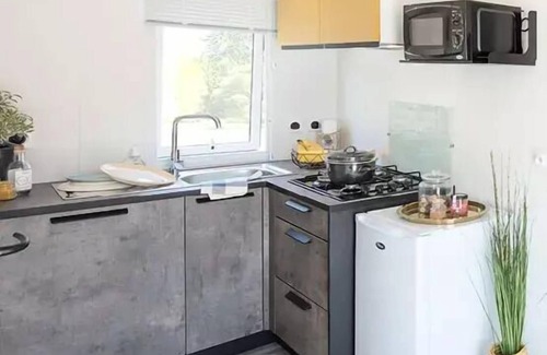 Aizenay House | Camping La Forêt * - Mobile home Ibiza Premium 2 rooms 2/4 people