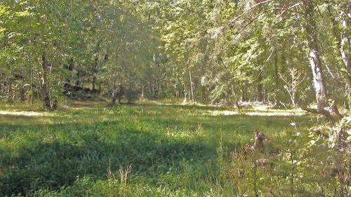 Escaro Other | Camping le P'Tit Bonheur