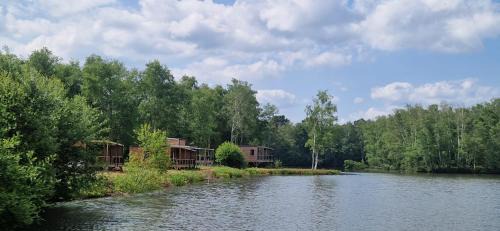 Sainte-Montaine Other | Camping maeva Respire Domaine de Sainte Montaine
