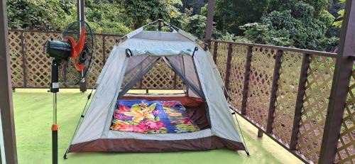Teahupoo Other | Camping Nany