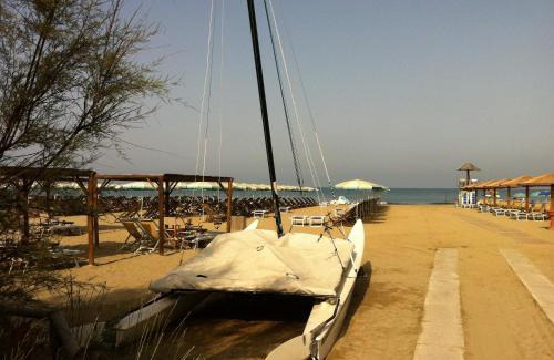 Calambrone Other | Camping Pineta
