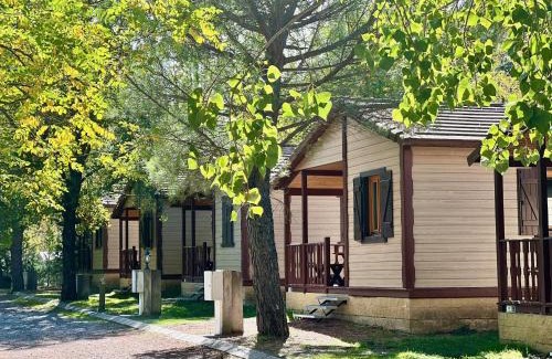 Hecho Other | Camping Valle de Hecho
