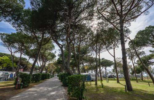 Saline Sadun Resort | Camping Village Bocche D'Albegna