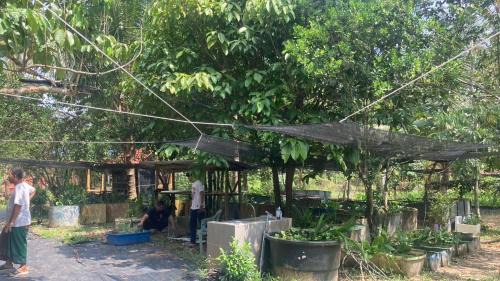 Kampung Pasir Semut Other | Campsite House In a Farm