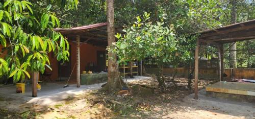 Kampung Pasir Semut Other | Campsite House In a Farm