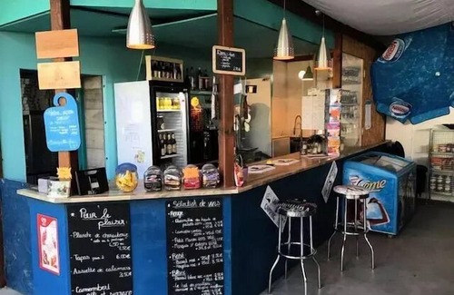 Vendays-Montalivet House | Campsite La Chesnays * - Lodge Victoria 3 Rooms 4/5 People