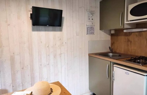 Saint-Laurent-sur-Sevre Ski Chalet | Campsite Le Rouge Gorge* * - NEW CHALET 17m2 TV (1 bedroom) 2 adults 2 children -12years 4 people