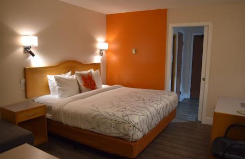 Castlegar Hotel | Canadas Best Value Inn & Suites-Castlegar