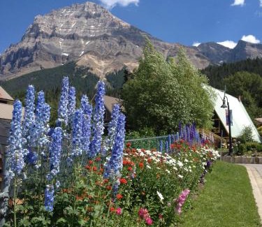 Field Hotel | Canadian Rockies Inn - Adults only
