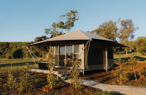 Seppeltsfield Cabin | CANVS by CABN Seppeltsfield Barossa