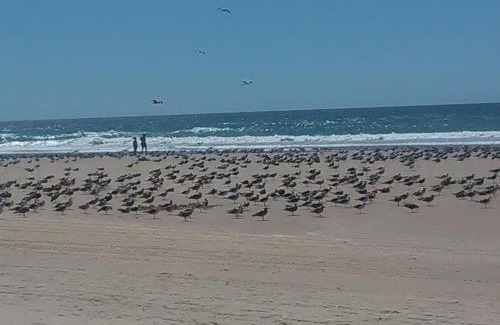 Charneca de Caparica e Sobreda House | Caparica Holidays