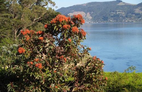 Portobello Bed & Breakfast | Captain Eady's Lookout