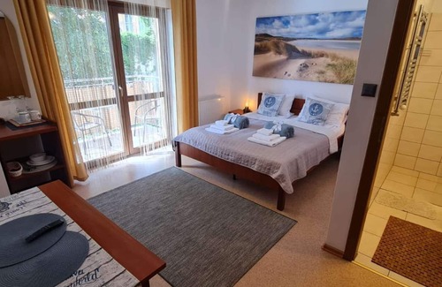 Dzielnica Uzdrowiskowa House | Captain's Villa * Double Room with Private Bathroom and Balcony