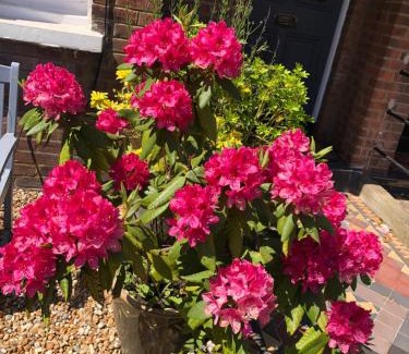 Stuppington Bed & Breakfast | Carena House