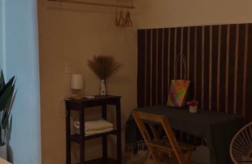 San Pedro Pochutla Apartment | Carena