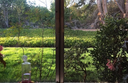 Carmel Condo | Carmel Get-a-way - Monthly rental: August, 2023 forward