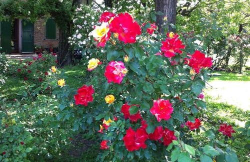 Soliera Bed & Breakfast | Casa a Soliera