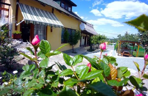 Mahmudia House | CASA ADI SI MARIA