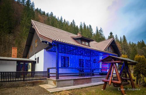 Brosteni Villa | Casa Andreea