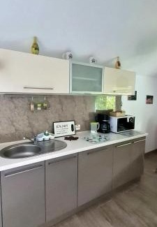 Sinpetru Apartment | CASA ARYAN