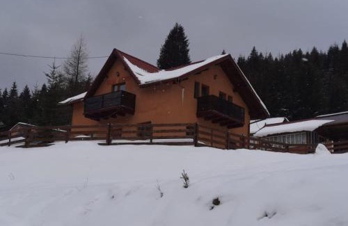 Vatra Dornei House | Casa Aurici Vatra Dornei