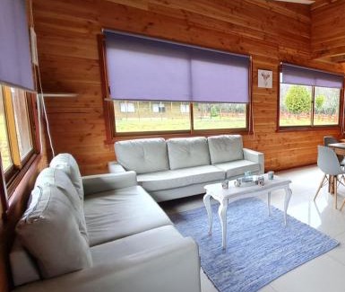 Conaripe House | Casa Barnizada
