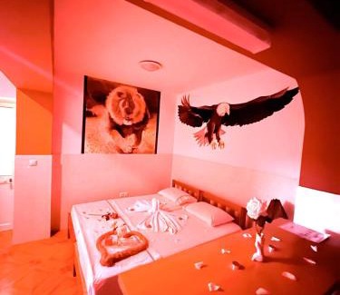 Ponta do Sol Bed & Breakfast | Casa BB&Djassi - Studio