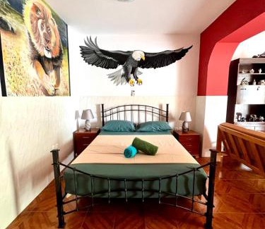 Ponta do Sol Bed & Breakfast | Casa BB&Djassi - Studio