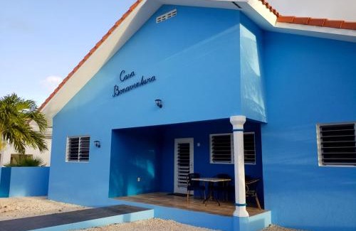 Daniel House | Casa Bonaventura