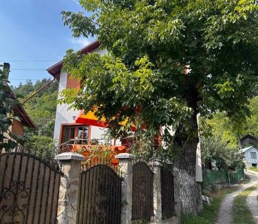 Nehoiu House | Casa Camelia