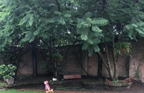 Tlalpan House | Casa Campestre del Mangrullo