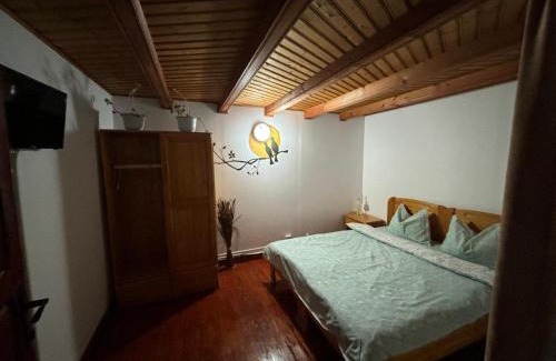 Brezoi Villa | Casa COLT DE RAI